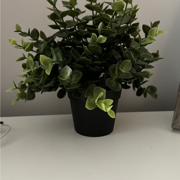 Faux plant green and black - Picture 2 of 2